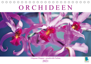 Orchideen: Filigrane Eleganz – prachtvolle Farben (Tischkalender 2021 DIN A5 quer) von CALVENDO