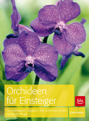 Orchideen für Einsteiger von Pinske,  Jörn