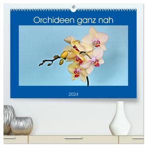 Orchideen ganz nah (hochwertiger Premium Wandkalender 2024 DIN A2 quer), Kunstdruck in Hochglanz von Geiger,  Günther
