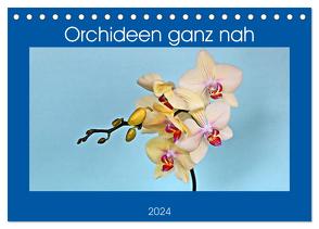 Orchideen ganz nah (Tischkalender 2024 DIN A5 quer), CALVENDO Monatskalender von Geiger,  Günther