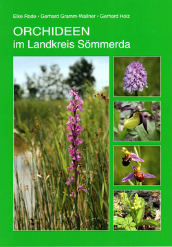Orchideen im Landkreis Sömmerda von Gramm-Wallner,  Gerhard, Rode,  Elke, Rode,  Peter