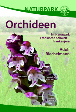 Orchideen im Naturpark Fränkische Schweiz – Frankenjura von Riechelmann,  Adolf