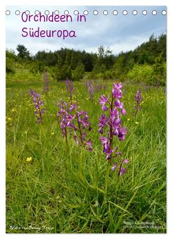 Orchideen in Südeuropa (Tischkalender 2024 DIN A5 hoch), CALVENDO Monatskalender von Trapp,  Benny