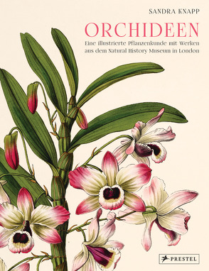 Orchideen von Knapp,  Sandra