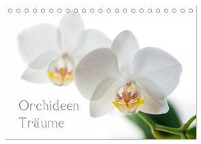 Orchideen Träume (Tischkalender 2024 DIN A5 quer), CALVENDO Monatskalender von cmarits,  hannes
