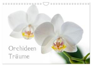 Orchideen Träume (Wandkalender 2024 DIN A4 quer), CALVENDO Monatskalender von cmarits,  hannes