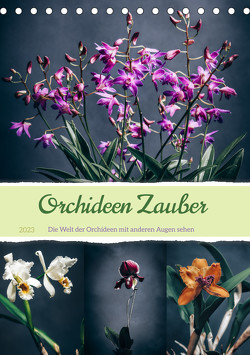 Orchideen Zauber (Tischkalender 2023 DIN A5 hoch) von Gierok-Latniak,  Steffen