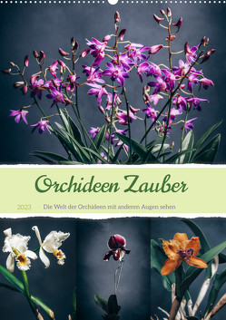 Orchideen Zauber (Wandkalender 2023 DIN A2 hoch) von Gierok-Latniak,  Steffen