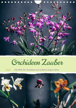Orchideen Zauber (Wandkalender 2023 DIN A4 hoch) von Gierok-Latniak,  Steffen