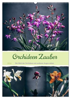 Orchideen Zauber (Wandkalender 2024 DIN A2 hoch), CALVENDO Monatskalender von Gierok-Latniak,  Steffen