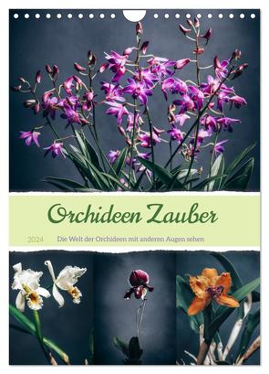 Orchideen Zauber (Wandkalender 2024 DIN A4 hoch), CALVENDO Monatskalender von Gierok-Latniak,  Steffen