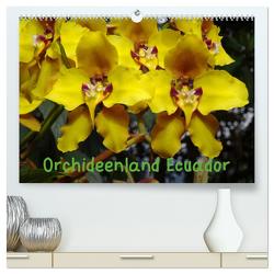 Orchideenland Ecuador (hochwertiger Premium Wandkalender 2024 DIN A2 quer), Kunstdruck in Hochglanz von Kettler,  Klaus