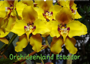 Orchideenland Ecuador (Wandkalender 2023 DIN A2 quer) von Kettler,  Klaus