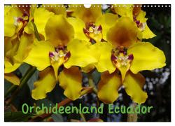 Orchideenland Ecuador (Wandkalender 2024 DIN A3 quer), CALVENDO Monatskalender von Kettler,  Klaus