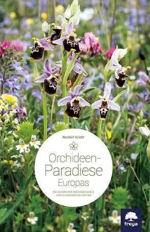 Orchideenparadiese Europas von Griebl,  Norbert