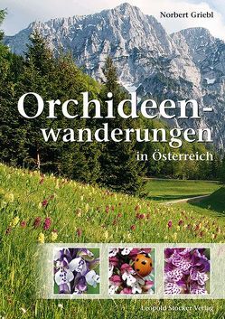 Orchideenwanderungen in Österreich von Griebl,  Norbert