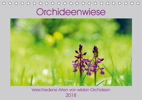 Orchideenwiese 2018 (Tischkalender 2018 DIN A5 quer) von Sura,  Jana