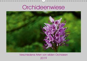 Orchideenwiese 2019 (Wandkalender 2019 DIN A3 quer) von Sura,  Jana