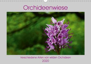 Orchideenwiese 2020 (Wandkalender 2020 DIN A3 quer) von Sura,  Jana