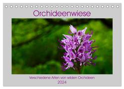Orchideenwiese 2024 (Tischkalender 2024 DIN A5 quer), CALVENDO Monatskalender von Sura,  Jana