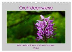 Orchideenwiese 2024 (Wandkalender 2024 DIN A3 quer), CALVENDO Monatskalender von Sura,  Jana