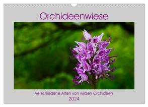 Orchideenwiese 2024 (Wandkalender 2024 DIN A3 quer), CALVENDO Monatskalender von Sura,  Jana