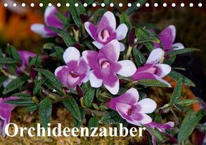 Orchideenzauber (Tischkalender 2019 DIN A5 quer) von Schulz,  Eerika