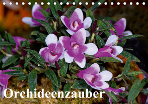 Orchideenzauber (Tischkalender 2021 DIN A5 quer) von Schulz,  Eerika