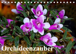 Orchideenzauber (Tischkalender 2023 DIN A5 quer) von Schulz,  Eerika