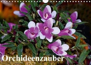 Orchideenzauber (Wandkalender 2018 DIN A4 quer) von Schulz,  Eerika