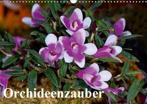 Orchideenzauber (Wandkalender 2019 DIN A3 quer) von Schulz,  Eerika