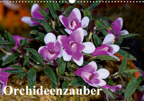 Orchideenzauber (Wandkalender 2021 DIN A3 quer) von Schulz,  Eerika