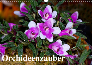 Orchideenzauber (Wandkalender 2022 DIN A3 quer) von Schulz,  Eerika