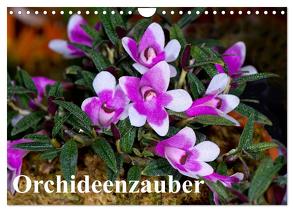 Orchideenzauber (Wandkalender 2024 DIN A4 quer), CALVENDO Monatskalender von Schulz,  Eerika
