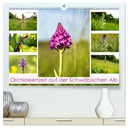 Orchideenzeit auf der Schwäbischen Alb (hochwertiger Premium Wandkalender 2024 DIN A2 quer), Kunstdruck in Hochglanz von Scheurer,  Monika