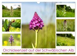 Orchideenzeit auf der Schwäbischen Alb (Wandkalender 2024 DIN A3 quer), CALVENDO Monatskalender von Scheurer,  Monika