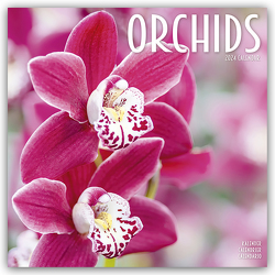 Orchids – Orchideen 2024 – 16-Monatskalender