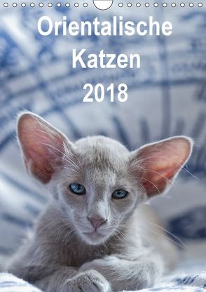 Orientalische Katzen 2018 (Wandkalender 2018 DIN A4 hoch) von Bollich,  Heidi