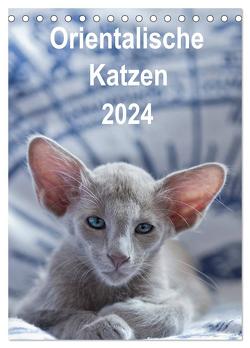 Orientalische Katzen 2024 (Tischkalender 2024 DIN A5 hoch), CALVENDO Monatskalender von Bollich,  Heidi