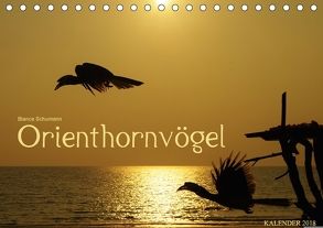 Orienthornvögel (Tischkalender 2018 DIN A5 quer) von Schumann,  Bianca