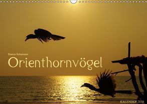 Orienthornvögel (Wandkalender 2019 DIN A3 quer) von Schumann,  Bianca