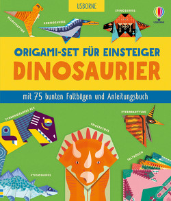 Origami-Set für Einsteiger: Dinosaurier von Allen,  Sarah, Bowman,  Lucy