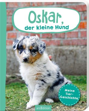 Erste Fotogeschichte: Oskar, der kleine Hund von Gerber,  Jutta