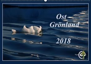 Ost-Grönland (Wandkalender 2018 DIN A2 quer) von Thom@sPhotography