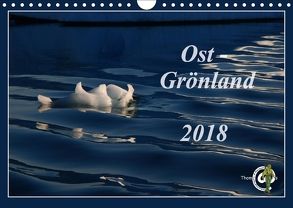 Ost-Grönland (Wandkalender 2018 DIN A4 quer) von Thom@sPhotography