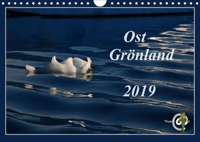 Ost-Grönland (Wandkalender 2019 DIN A4 quer) von Thom@sPhotography