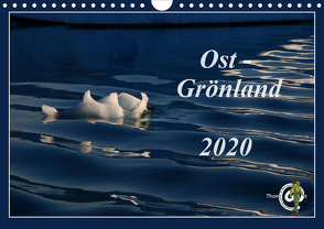 Ost-Grönland (Wandkalender 2020 DIN A4 quer) von Thom@sPhotography