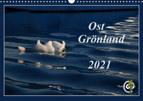 Ost-Grönland (Wandkalender 2021 DIN A3 quer) von Thom@sPhotography