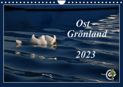 Ost-Grönland (Wandkalender 2023 DIN A4 quer) von Thom@sPhotography