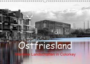 Ostfriesland Maritime Landschaften in Colorkey (Wandkalender 2019 DIN A3 quer) von Poetsch,  Rolf